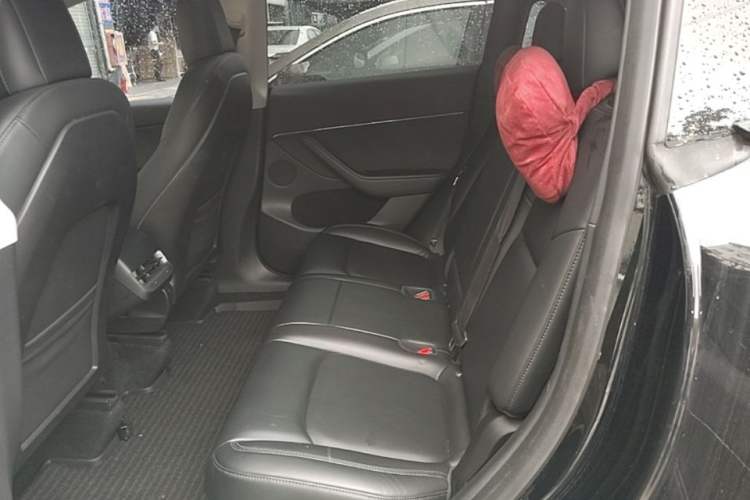 Used Tesla Model Y 2021 Standard Range Rear-Wheel Drive Version Left Rear Seat