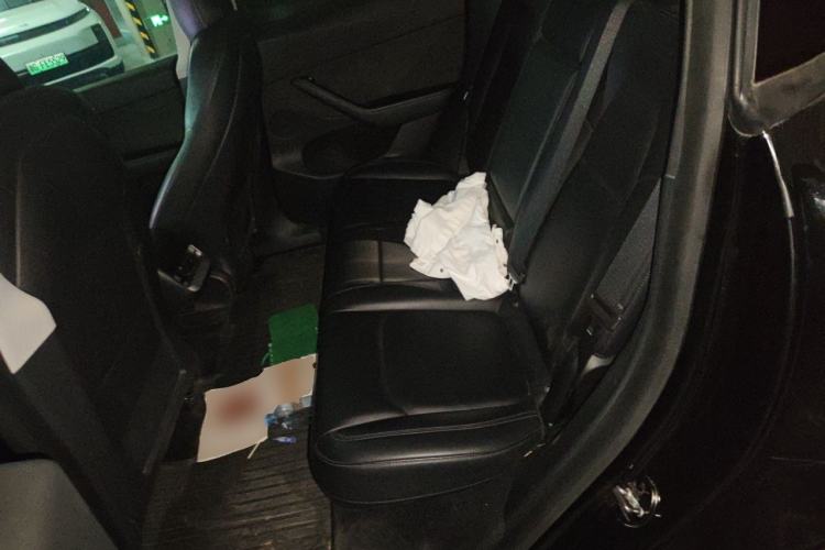 Used Tesla Model Y 2021 Standard Range Rear-Wheel Drive Version Left Rear Seat
