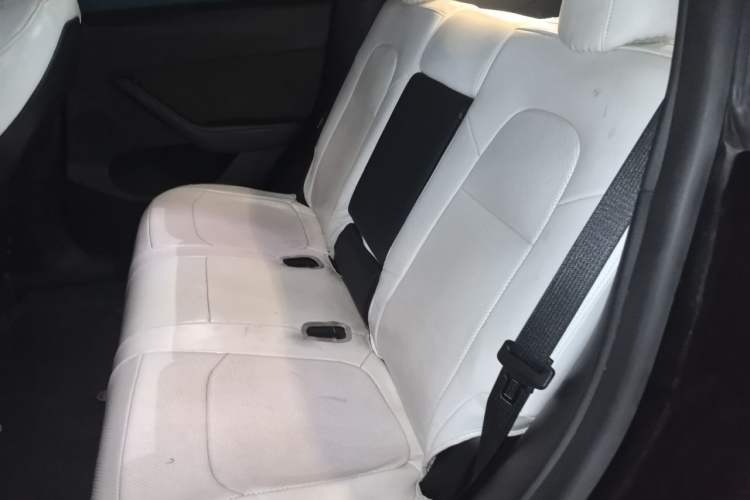 Used Tesla Model Y 2021 Standard Range Rear-Wheel Drive Version Left Rear Seat