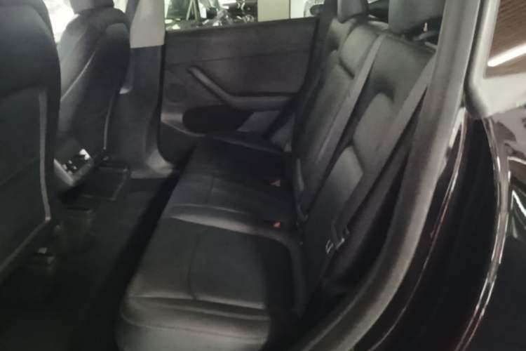 Used Tesla Model Y 2021 Standard Range Rear-Wheel Drive Version Left Rear Seat