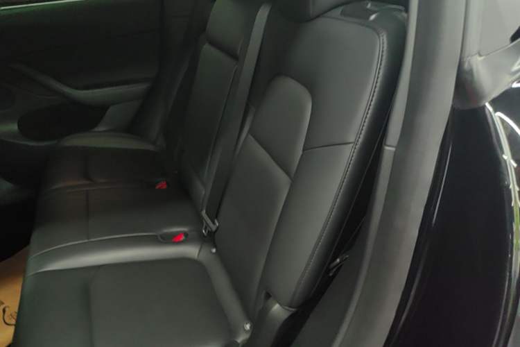 Used Tesla Model Y 2021 Standard Range Rear-Wheel Drive Version Left Rear Seat