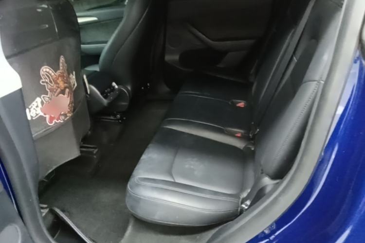Used Tesla Model Y 2021 Standard Range Rear-Wheel Drive Version Left Rear Seat