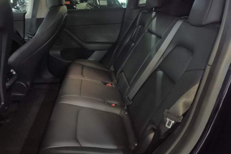 Used Tesla Model Y 2021 Standard Range Rear-Wheel Drive Version Left Rear Seat