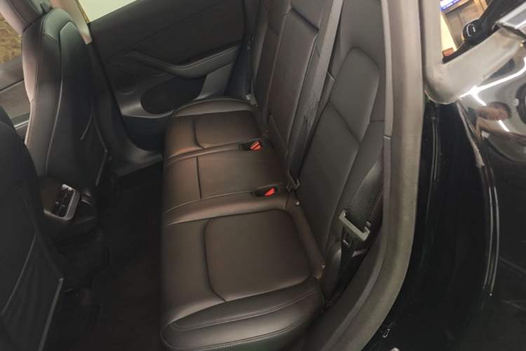 Used Tesla Model Y 2021 Long-Range All-Wheel-Drive Version 3D7 Left Rear Seat