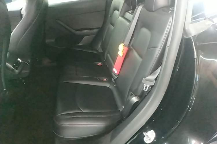 Used Tesla Model Y 2021 Standard Range Rear-Wheel Drive Version Left Rear Seat