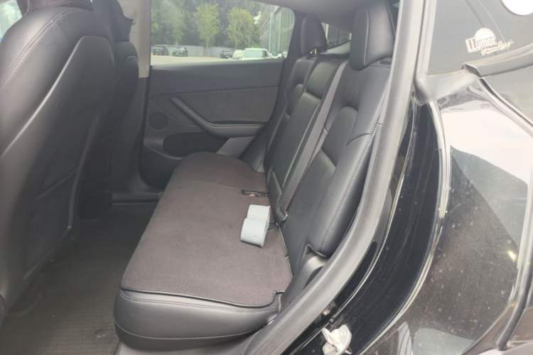 Used Tesla Model Y 2021 Standard Range Rear-Wheel Drive Version Left Rear Seat