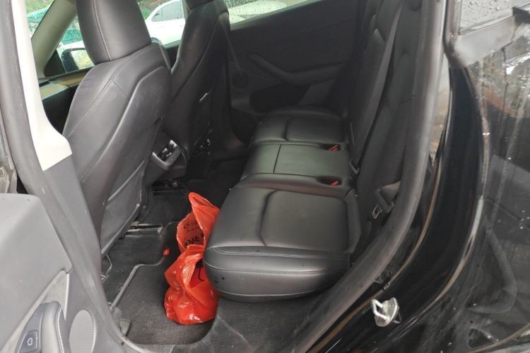 Used Tesla Model Y 2021 Revised Version 2 Long-Range All-Wheel-Drive Edition Left Rear Seat