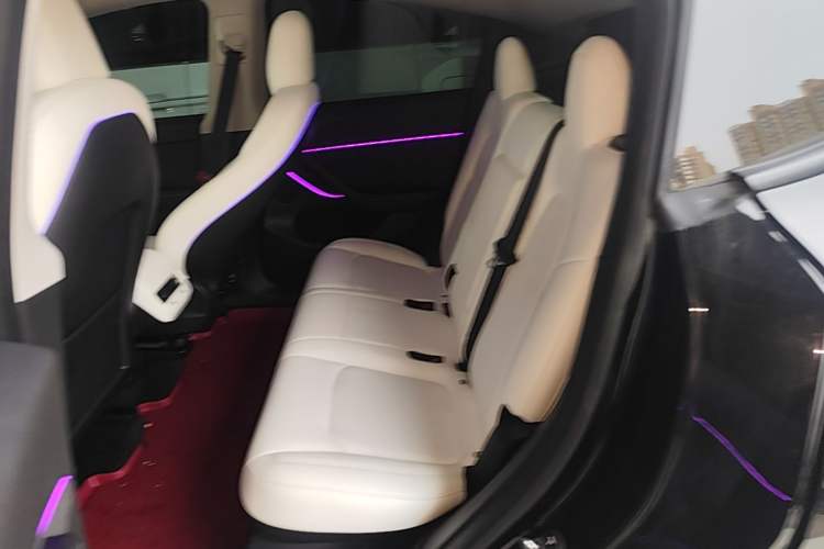 Used Tesla Model Y 2021 Standard Range Rear-Wheel Drive Version Left Rear Seat