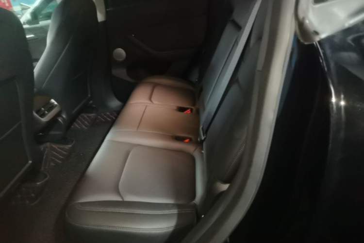 Used Tesla Model Y 2021 Long-Range All-Wheel-Drive Version Left Rear Seat