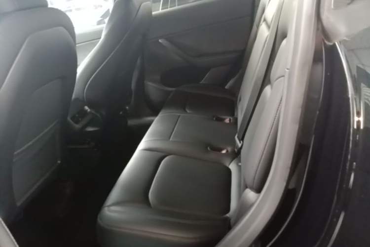 Used Tesla Model Y 2021 Standard Range Rear-Wheel Drive Version Left Rear Seat