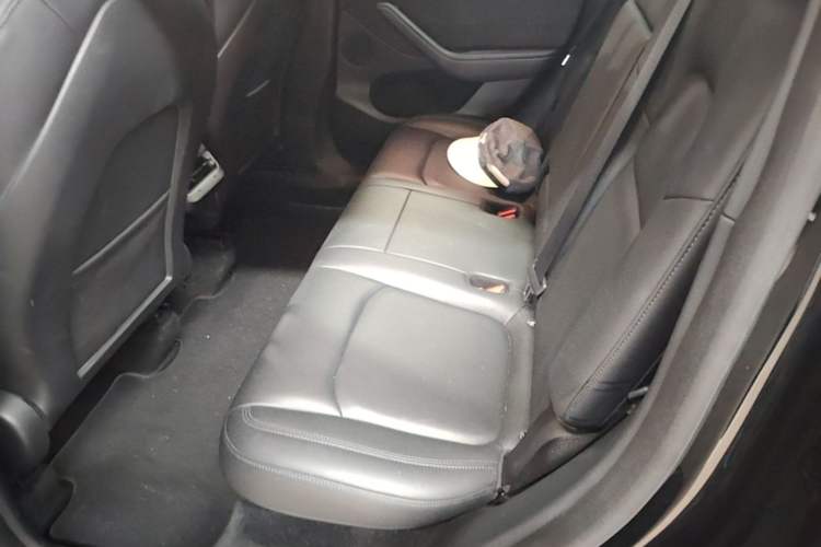 Used Tesla Model Y 2021 Long-Range All-Wheel-Drive Version Left Rear Seat