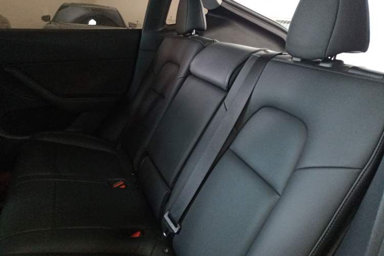 Used Tesla Model Y 2021 Standard Range Rear-Wheel Drive Version Left Rear Seat