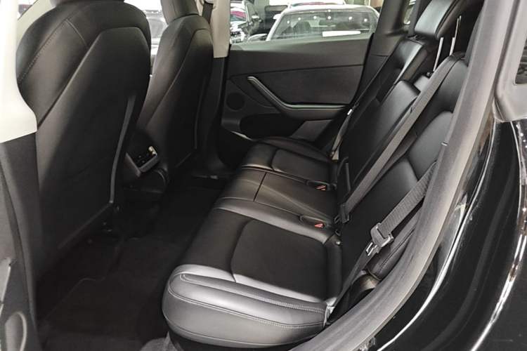 Used Tesla Model Y 2021 Standard Range Rear-Wheel Drive Version Left Rear Seat