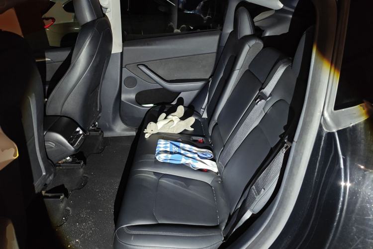 Used Tesla Model Y 2021 Long-Range All-Wheel-Drive Version Left Rear Seat
