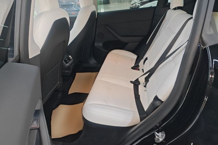 Used Tesla Model Y 2021 Standard Range Rear-Wheel Drive Version Left Rear Seat