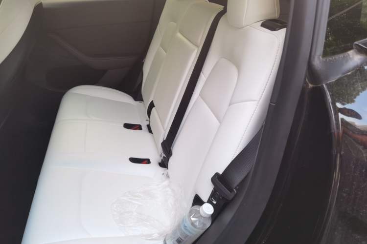 Used Tesla Model Y 2021 Standard Range Rear-Wheel Drive Version Left Rear Seat