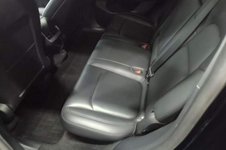 Used Tesla Model Y 2021 Standard Range Rear-Wheel Drive Version Left Rear Seat