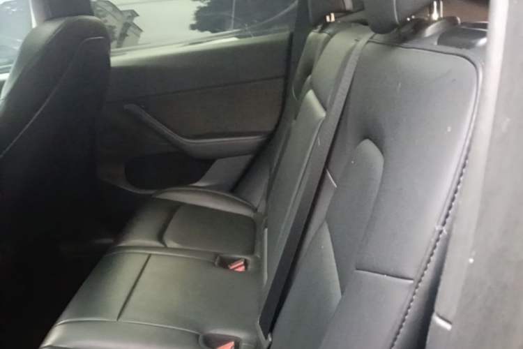 Used Tesla Model Y 2021 Standard Range Rear-Wheel Drive Version Left Rear Seat