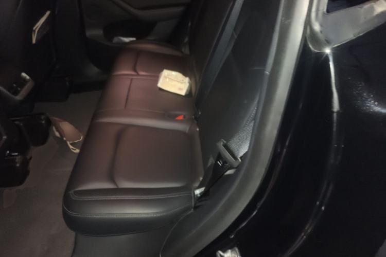 Used Tesla Model Y 2021 Standard Range Rear-Wheel Drive Version Left Rear Seat