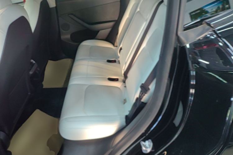 Used Tesla Model Y 2021 Standard Range Rear-Wheel Drive Version Left Rear Seat