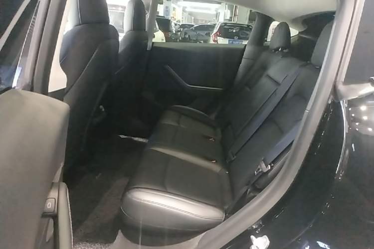 Used Tesla Model Y 2021 Standard Range Rear-Wheel Drive Version Left Rear Seat