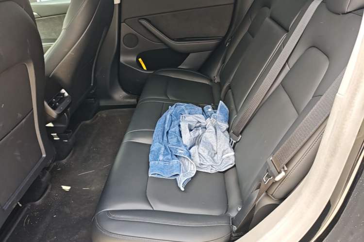 Used Tesla Model Y 2021 Long-Range All-Wheel-Drive Version Left Rear Seat