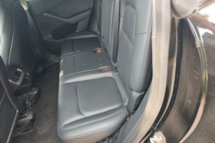 Used Tesla Model Y 2021 Standard Range Rear-Wheel Drive Version Left Rear Seat
