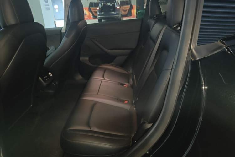 Used Tesla Model Y 2021 Standard Range Rear-Wheel Drive Version Left Rear Seat