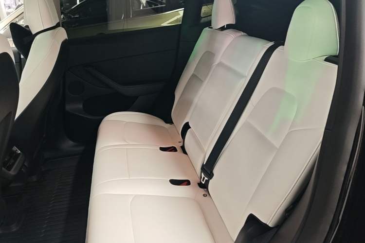 Used Tesla Model Y 2021 Standard Range Rear-Wheel Drive Version Left Rear Seat