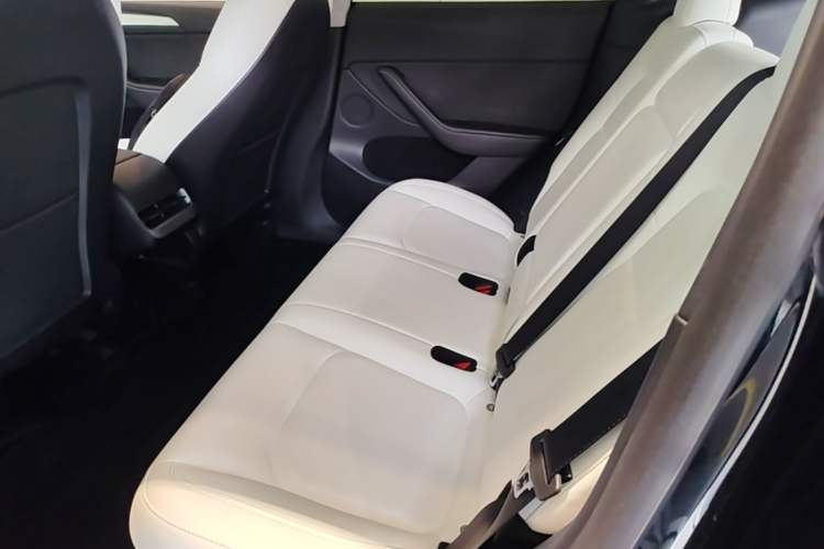 Used Tesla Model Y 2021 Long-Range All-Wheel-Drive Version Left Rear Seat