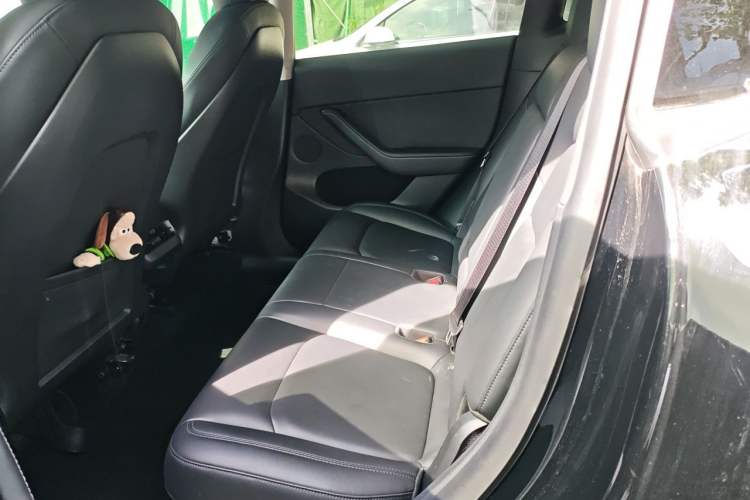 Used Tesla Model Y 2021 Standard Range Rear-Wheel Drive Version Left Rear Seat
