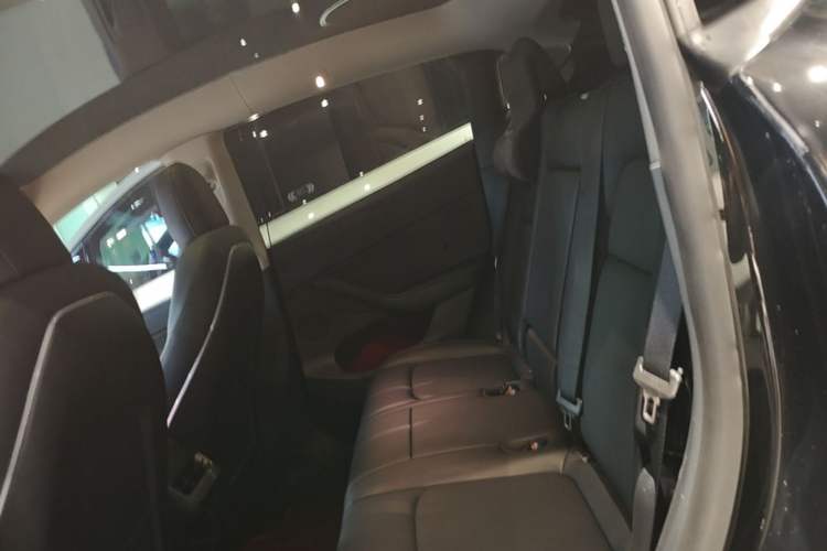 Used Tesla Model Y 2021 Standard Range Rear-Wheel Drive Version Left Rear Seat