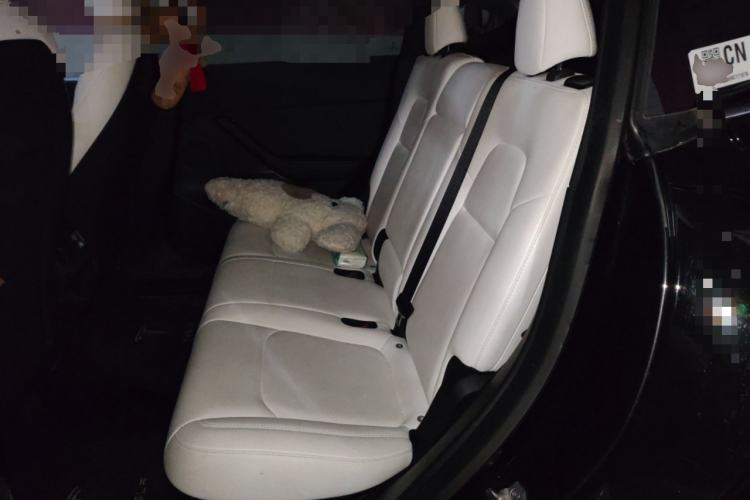 Used Tesla Model Y 2021 Standard Range Rear-Wheel Drive Version Left Rear Seat