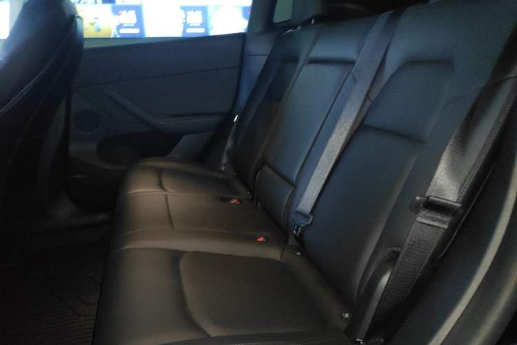 Used Tesla Model Y 2021 Standard Range Rear-Wheel Drive Version Left Rear Seat