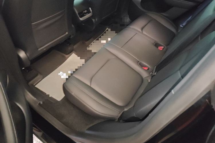 Used Tesla Model Y 2021 Standard Range Rear-Wheel Drive Version Left Rear Seat
