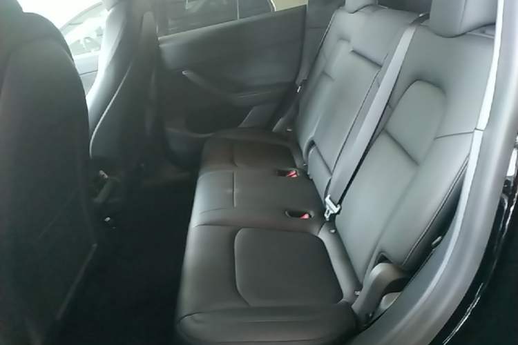 Used Tesla Model Y 2021 Standard Range Rear-Wheel Drive Version Left Rear Seat