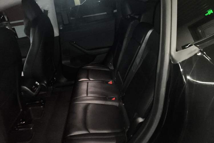 Used Tesla Model Y 2021 Revised Version 2 Long-Range All-Wheel-Drive Edition Left Rear Seat