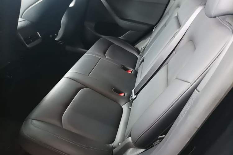 Used Tesla Model Y 2021 Standard Range Rear-Wheel Drive Version Left Rear Seat