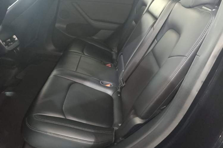 Used Tesla Model Y 2021 Standard Range Rear-Wheel Drive Version Left Rear Seat