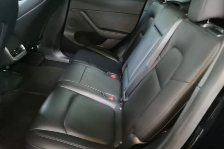 Used Tesla Model Y 2021 Standard Range Rear-Wheel Drive Version Left Rear Seat