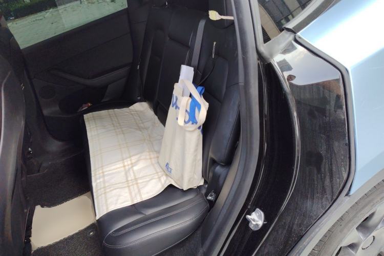Used Tesla Model Y 2021 Standard Range Rear-Wheel Drive Version Left Rear Seat