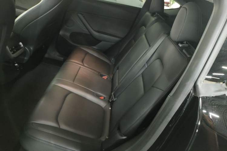 Used Tesla Model Y 2021 Long-Range All-Wheel-Drive Version Left Rear Seat
