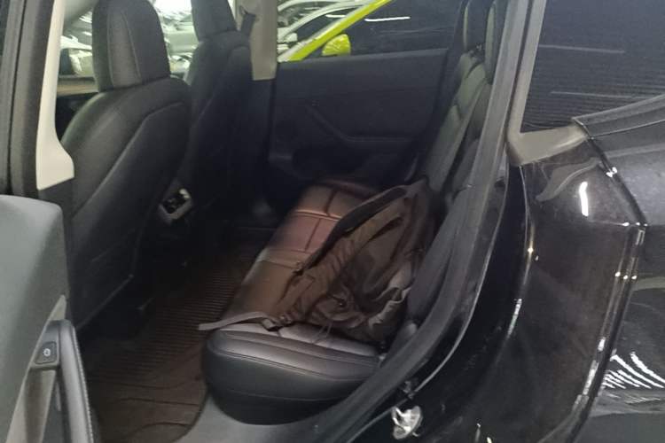 Used Tesla Model Y 2021 Standard Range Rear-Wheel Drive Version Left Rear Seat