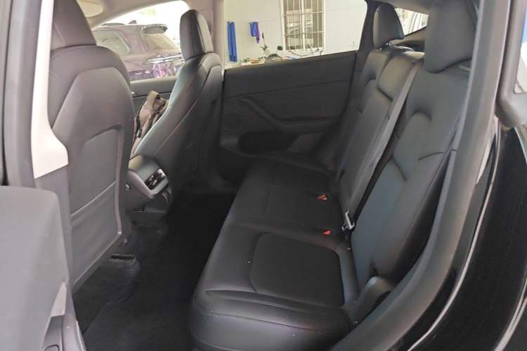 Used Tesla Model Y 2021 Standard Range Rear-Wheel Drive Version Left Rear Seat