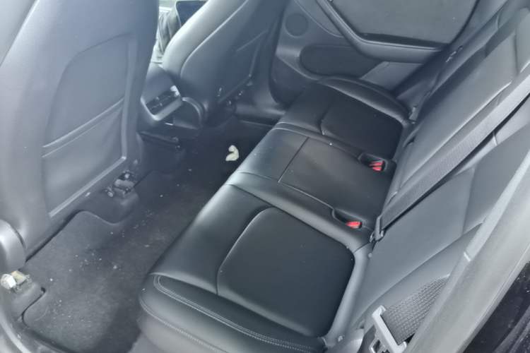 Used Tesla Model Y 2021 Standard Range Rear-Wheel Drive Version Left Rear Seat