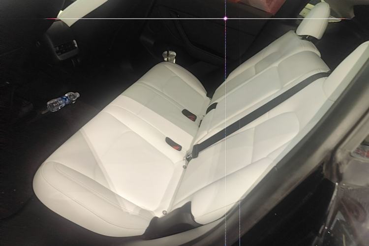 Used Tesla Model Y 2021 Performance High-Performance All-Wheel-Drive Version Left Rear Seat