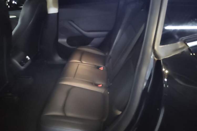 Used Tesla Model Y 2021 Standard Range Rear-Wheel Drive Version Left Rear Seat