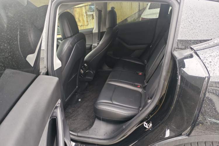 Used Tesla Model Y 2021 Standard Range Rear-Wheel Drive Version Left Rear Seat