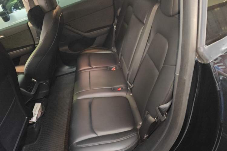 Used Tesla Model Y 2021 Standard Range Rear-Wheel Drive Version Left Rear Seat