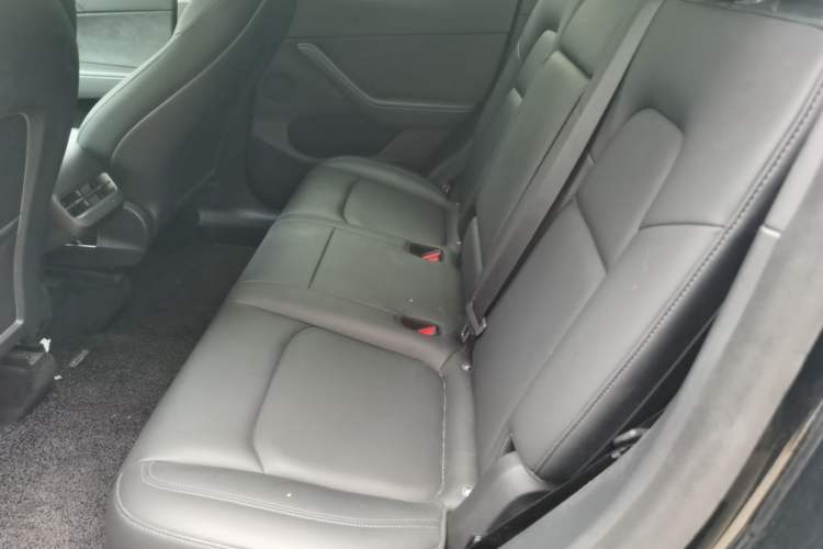 Used Tesla Model Y 2021 Long-Range All-Wheel-Drive Version 3D7 Left Rear Seat